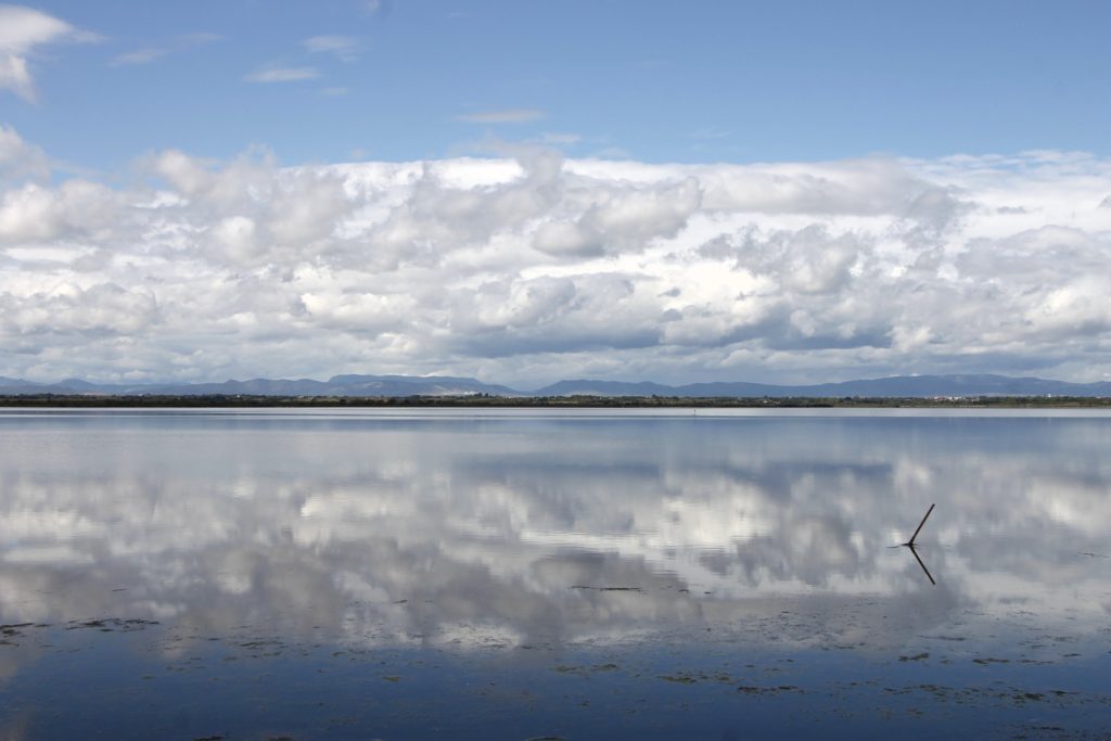 Etang de Canet