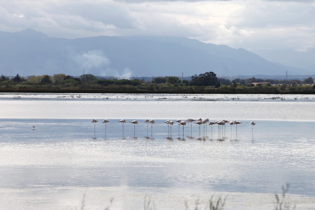 Etang de Canet Tipps