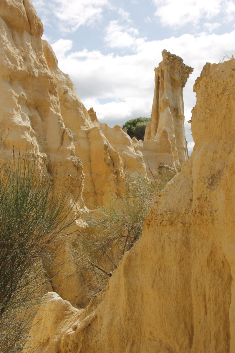 Roussillon Ausflugstipps